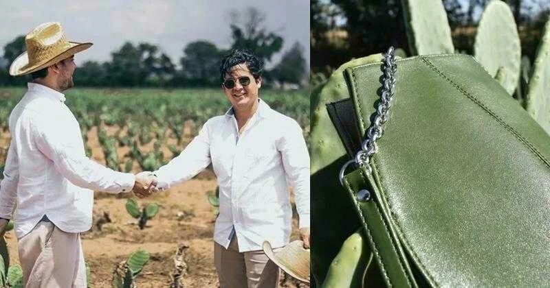 These Men Create Leather Out Of Cactus Leaves. Will Animal Cruelty Finally End? 