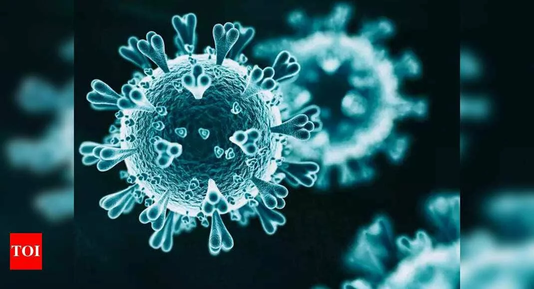 Bangalore Corona Update: Bengaluru sees 19 coronavirus cases, highest in a day so far | Bengaluru News - Times of India