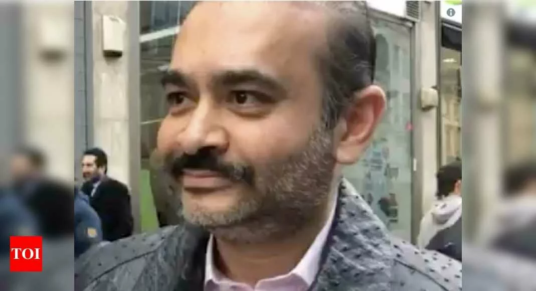 Nirav Modi's next extradition hearing in PNB fraud case on April 28, faces additional CBI charges - Times of India