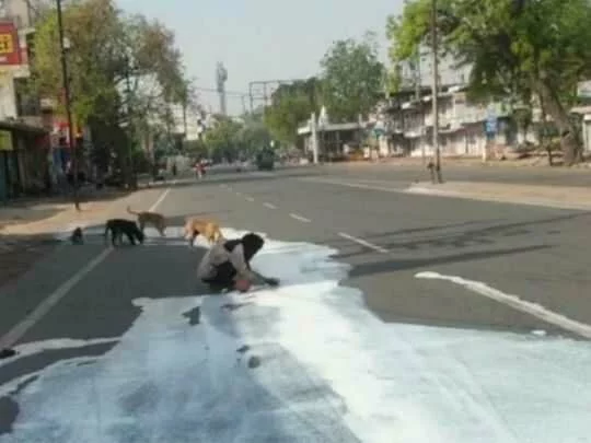The face of hunger in Indian coronavirus lockdown: Viral video shows a man and dogs sharing milk spilled on the road