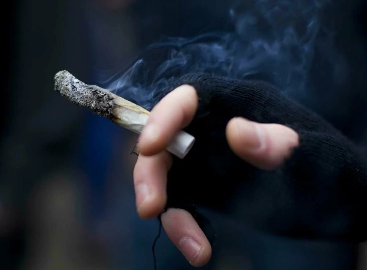 From Noida to Hampi, marijuana (weed) is legally available in THESE Indian cities