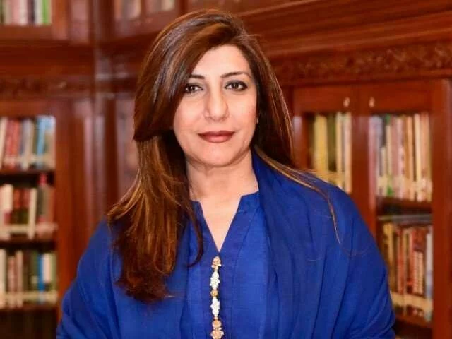 'Set your own house in order first': India advised as FO clarifies Kartarpur temple repaired within a day | The Express Tribune