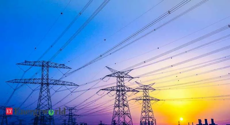 Power transmission lines single-biggest threat to Great India Bustard - ET EnergyWorld