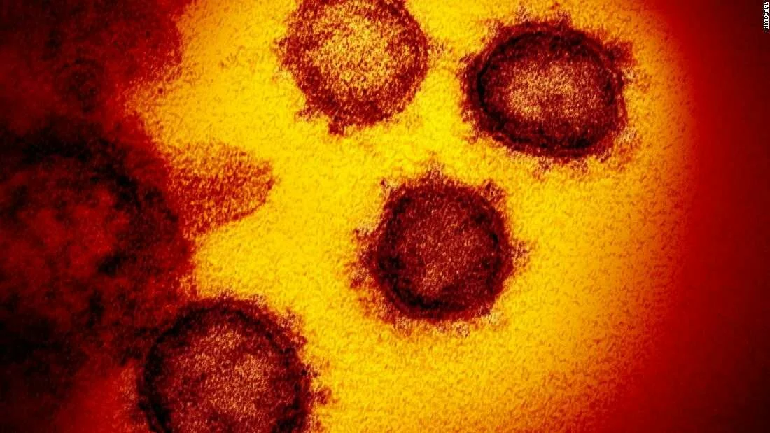 India coronavirus cases surge: Live updates - CNN