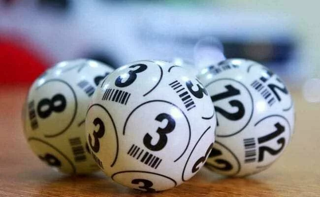 Painter From Himachal Pradesh Wins Rs 2.5 Crore Lottery Jackpot