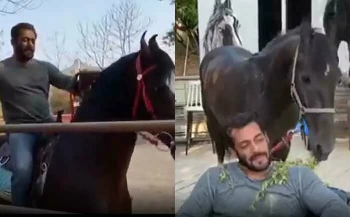 Salman Khan posts hilarious video from his farmhouse in Panvel