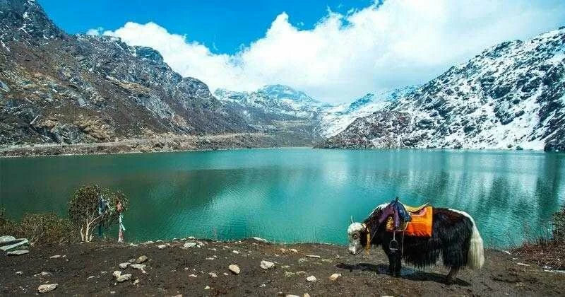 Sikkim, The Only COVID-19-Free State In India, Bans Tourists Till October