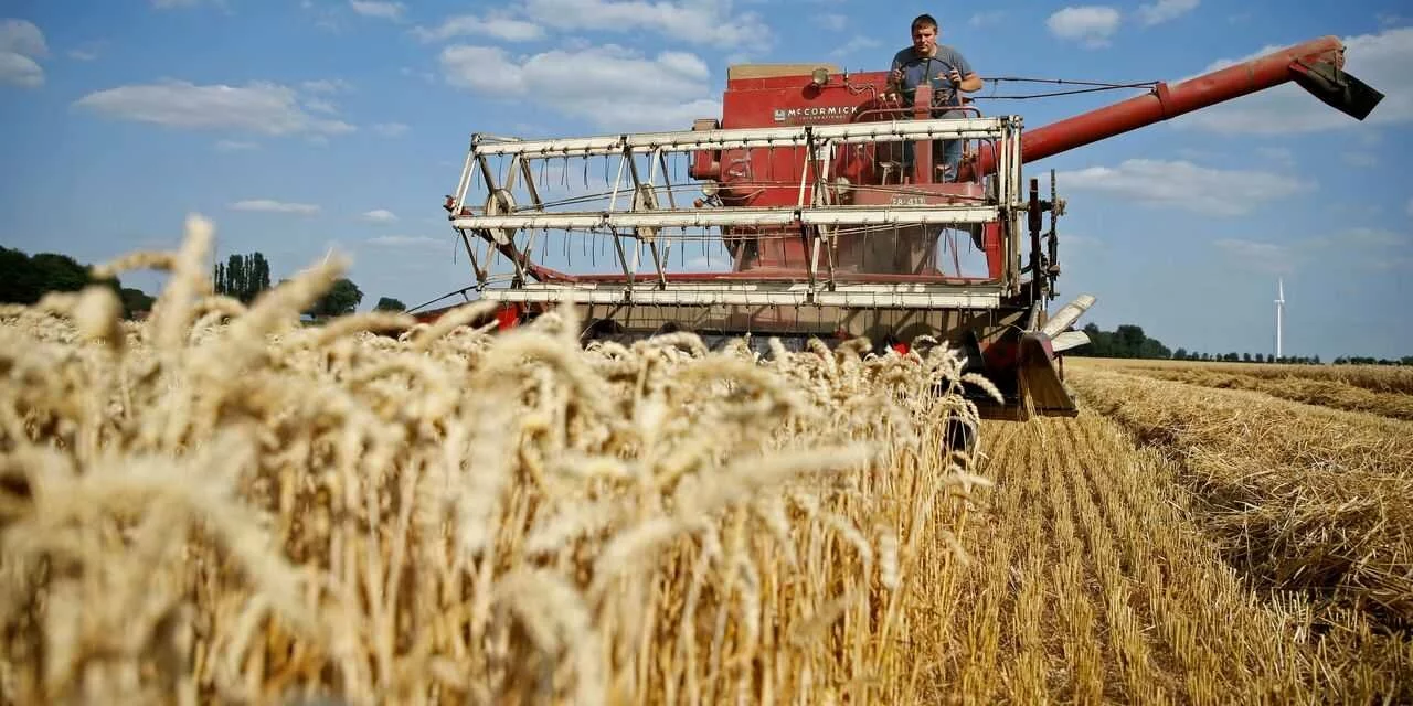 Wheat and Rice Prices Surge in Coronavirus Lockdown