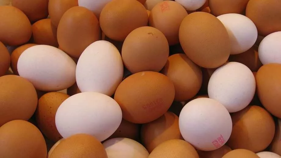 #EggsForImmunity is Setting the Trend for a Healthy Lifestyle on Social Media