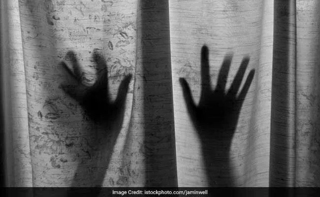 Decline In Domestic Violence Calls Since Lockdown: Delhi Women's Panel