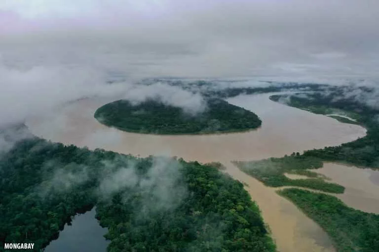 Investing in Amazon Rainforest Conservation: A Foreigner’s Perspective (commentary)