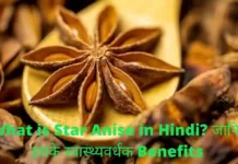 What is Star Anise in Hindi? जानिए इसके स्वास्थ्यवर्धक Benefits What is Star Anise in Hindi? जानिए इसके स्वास्थ्यवर्धक Benefits